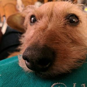 Meet your Posher, Wendy